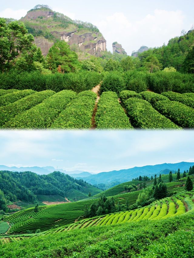 武夷山旅遊｜2天1晚保姆級攻略