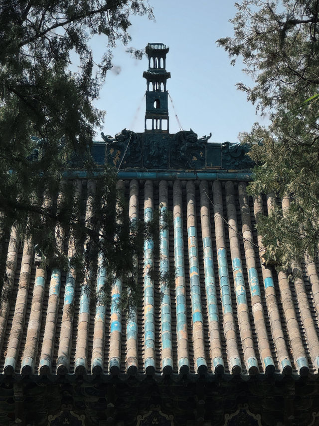 古柏與星宿·晉城玉皇廟