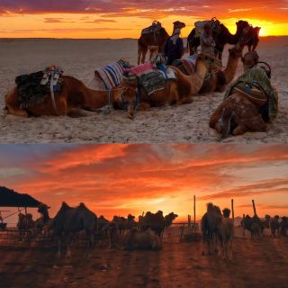 Five-day travel guide to Tunisia