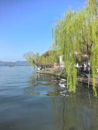 杭州西湖嘅春天景色