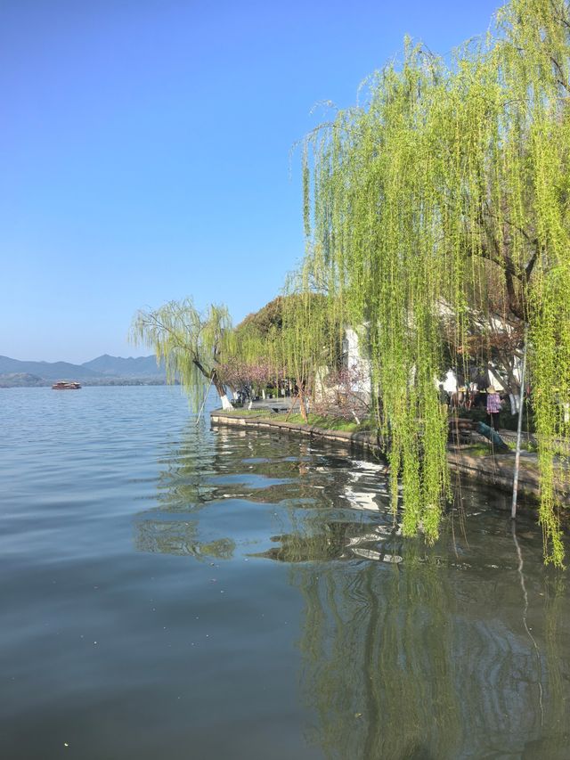 杭州西湖嘅春天景色