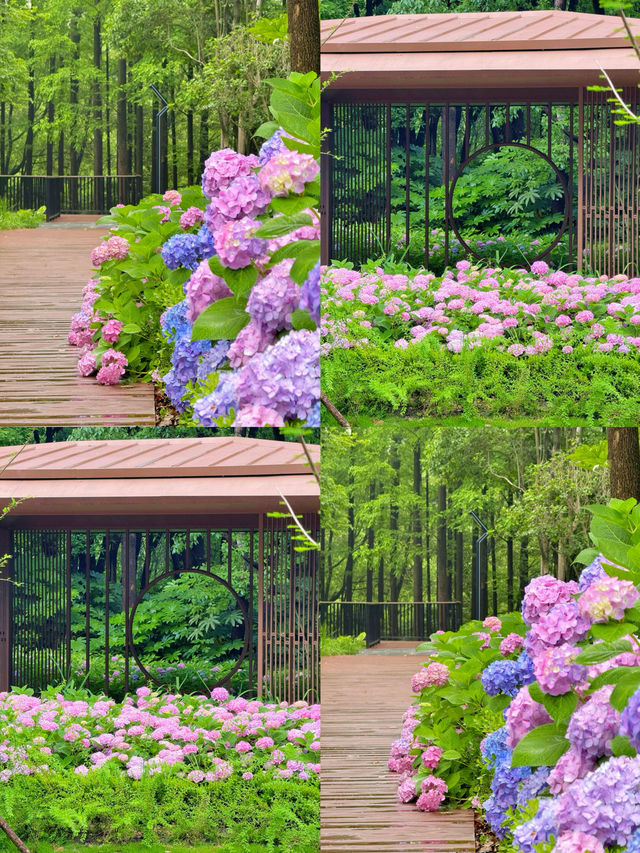 情侶約會擁抱花與海濱江森林公園