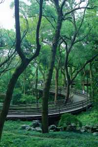 比起西湖，我更愛呢條老杭州city walk