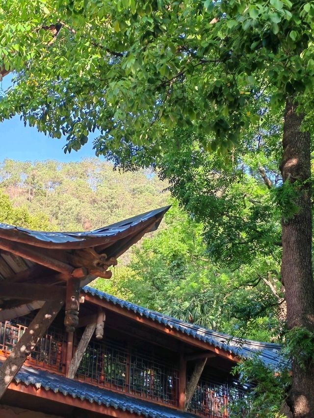 探秘川南勝境｜西昌瀘山雲端之旅