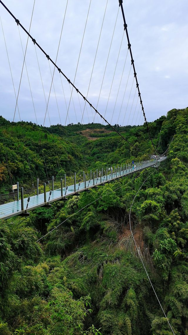 川西竹海|25℃綠意秘境清涼之旅全指南