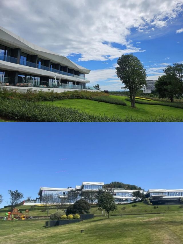初夏田園撒野！柚海莊園躺贏假期啦～