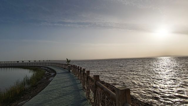 五一黃金週 漫遊沙漠烏海