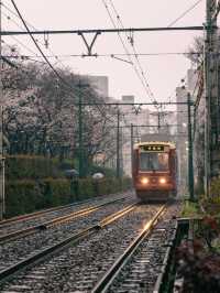 東京 | 搭乘昭和風情的櫻花電車🌸