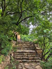 登山，由西山國家森林公園穿越至八大處公園。