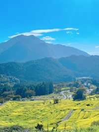 🌊和歌山北山村 | 日本獨特激流觀光木筏體驗