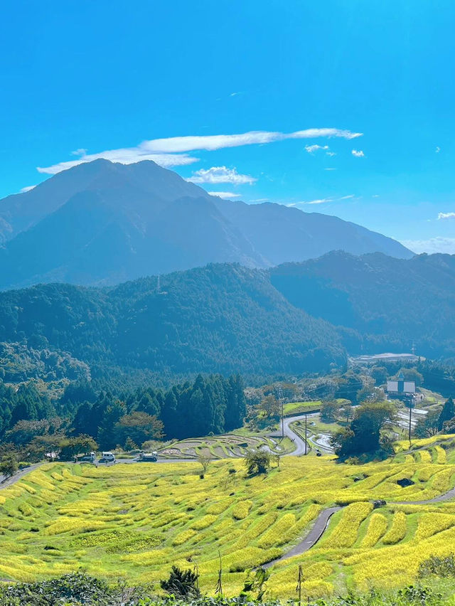 🌊和歌山北山村 | 日本獨特激流觀光木筏體驗