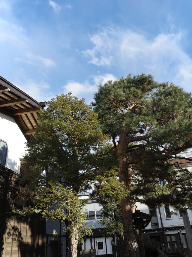 京都端午｜東福寺通天橋 人少景靚嘅綠野仙蹤🌿