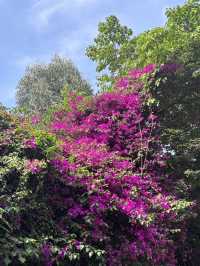 Kunming Day Trip