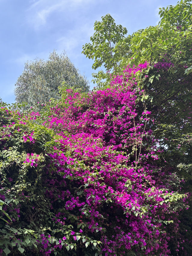 Kunming Day Trip