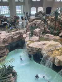 🌊冬日玩水寶藏地：加勒比海灣溫泉水樂園