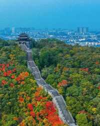 徒步虞山國家森林公園，解鎖自然與人文的雙重盛宴