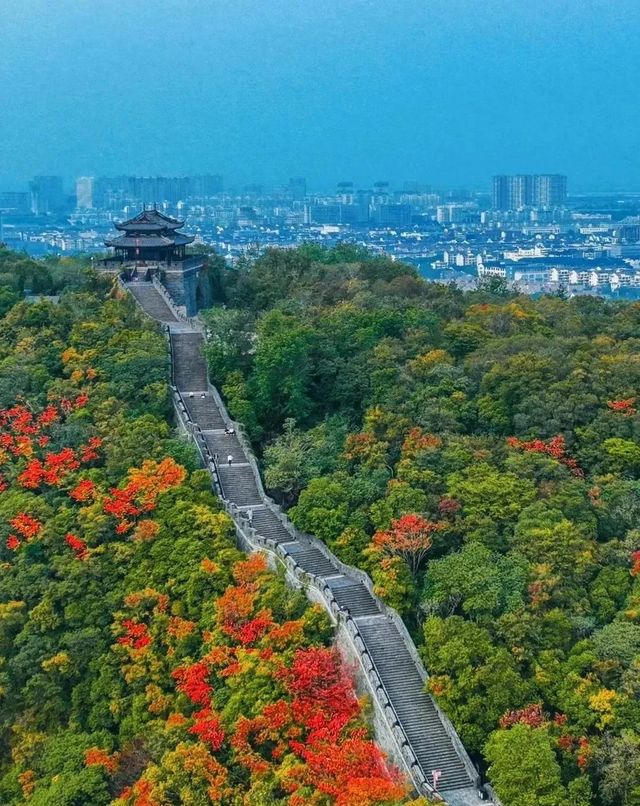 徒步虞山國家森林公園，解鎖自然與人文的雙重盛宴