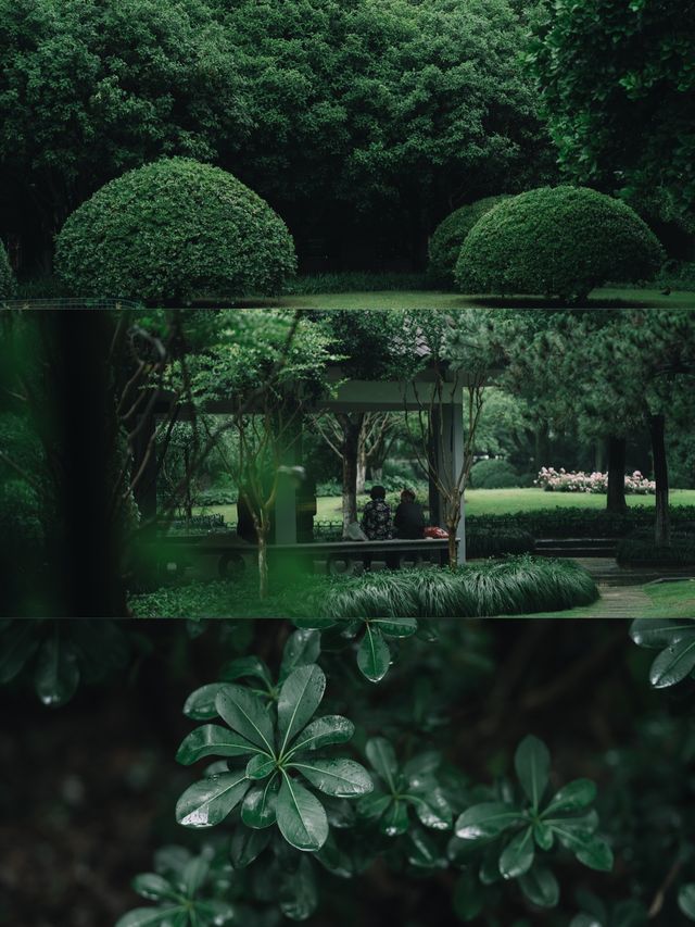 喺杭州，落雨天隨手一影就通往《言葉之庭》
