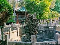 "From Minarets to Ming Dynasty: Yinchuan’s Top Mosques Unveiled"