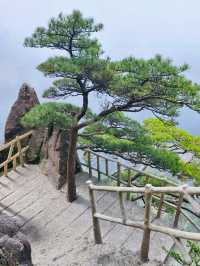 Majestic Huangshan on May Holiday 2025