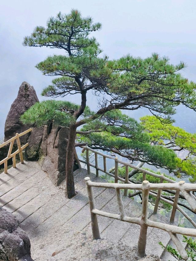 Majestic Huangshan on May Holiday 2025