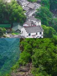 齊雲山已回，講啲難聽嘅大實話