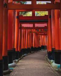 日本暑假親子遊怎麼玩？京都奈良一日遊。