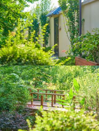Persuaded to visit Fuchun Mountain Resort during the holiday! So stunning it left me speechless