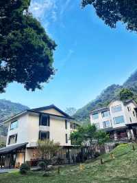 為咗呢棵樹 專登嚟咗峨眉山