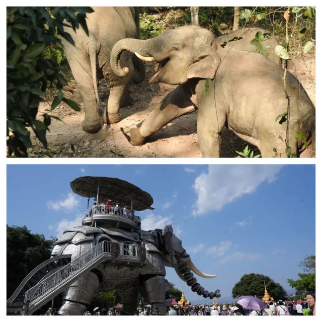 高考生必睇！勐腊旅行「住 + 玩」攻略