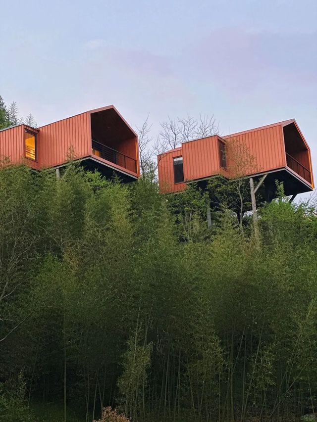 人氣樹屋酒店｜住喺群山之中睇雲海日出