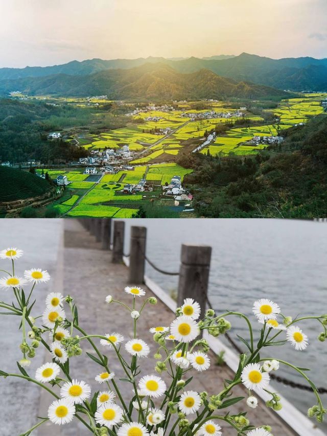 枕江而眠新安江畔嘅詩意棲居天花板