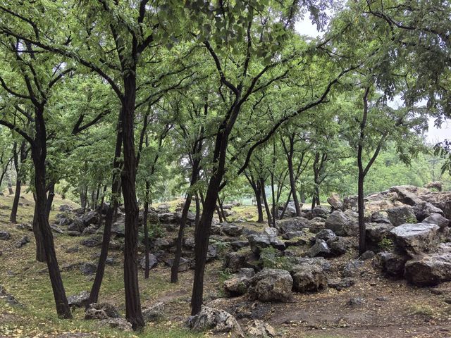 煙雨圓明園：江南韻與歷史愁