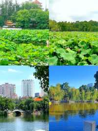 「昆明翠湖公園：城市中的詩意綠寶石」