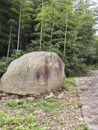龍山，本地人想「私藏」打卡地。