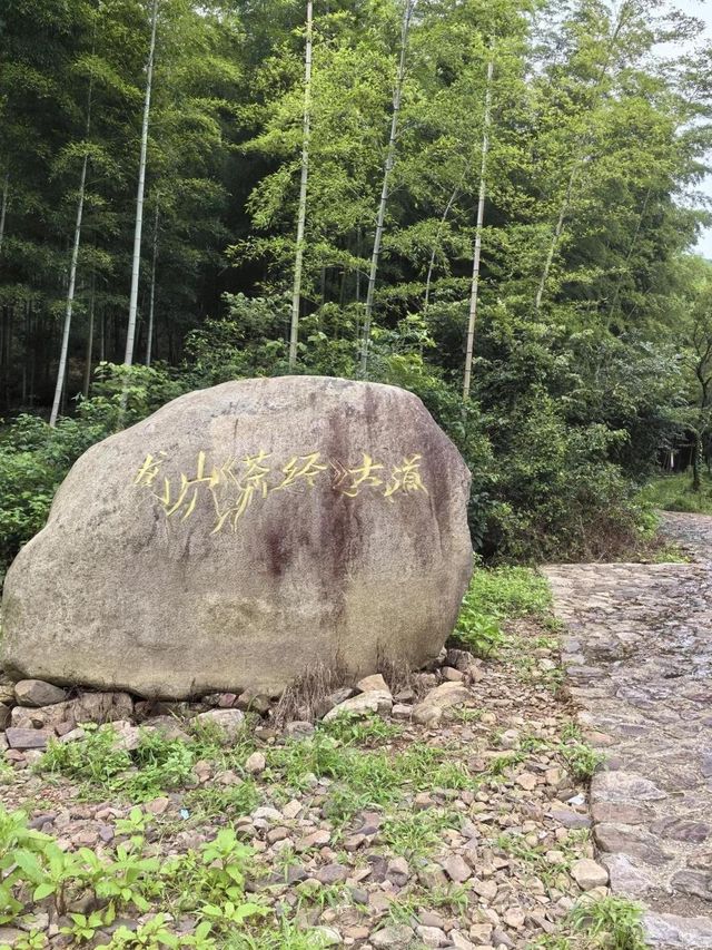 龍山，本地人想「私藏」打卡地。