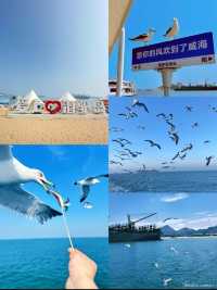 冷門海邊城市 || 榮成，三日兩夜親子遊，直接跟住玩！