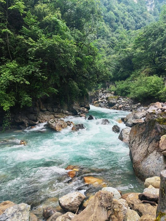 二郎山喇叭河餵鹿睇猴行山攻略，差啲俾馬騮襲擊！