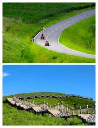 答應我，一定要來騰衝東山草原度假