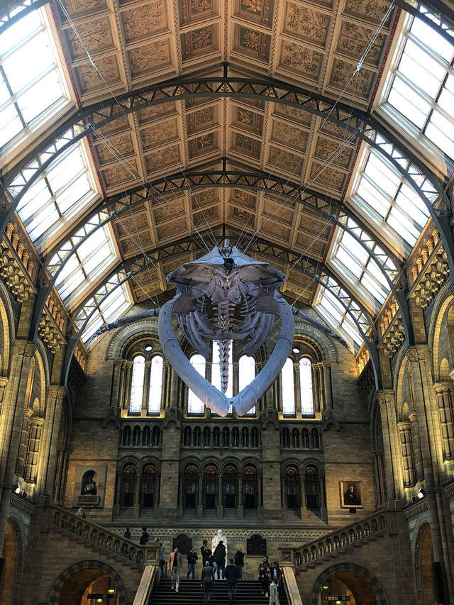London, The Most Iconic City In The World! My Top tips After 6 years Living There 😍