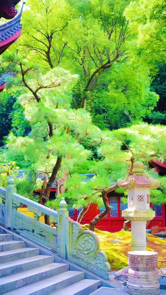 《永福禪寺嘅禪意生活體驗如何？》