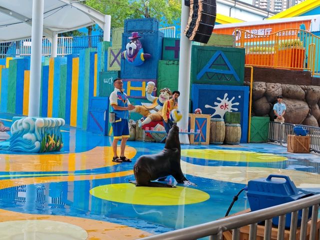 成都極地海洋公園深度漫遊指南｜避開人潮的私房攻略