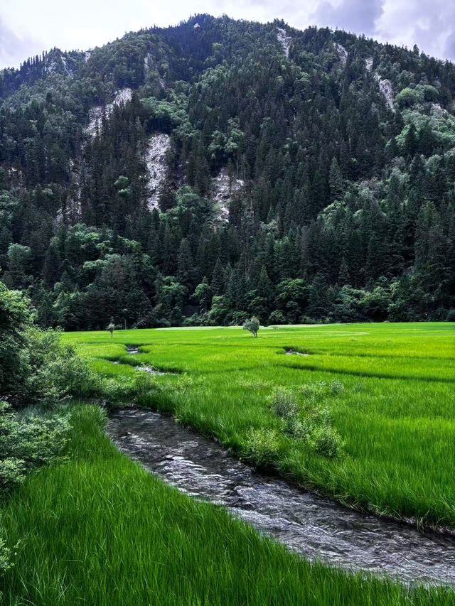 川西旅遊攻略  出遊必看。