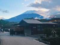 一日飽覽富士山：河口湖・忍野八海・根場村完整行程建議