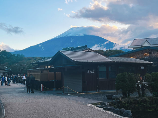 一日飽覽富士山：河口湖・忍野八海・根場村完整行程建議