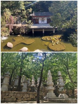 Tianjin Panshan's spectacular natural scenery is truly eye-catching. Check it out!