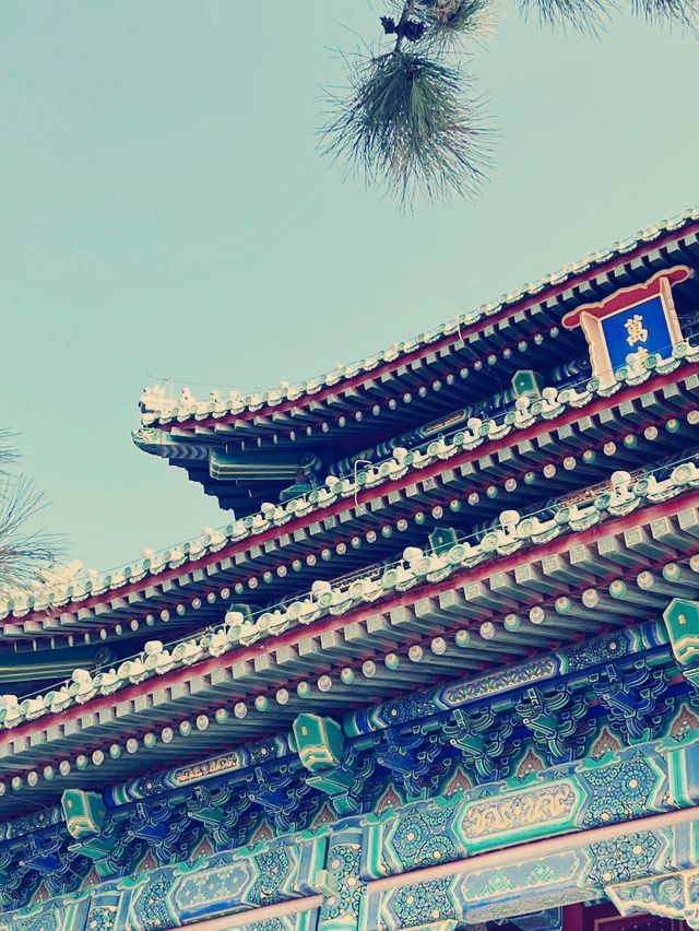 北京絶景スポット】景山公園で紫禁城を一望！絶対に行くべき観光ガイド​