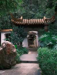 富士直出-闖入廣州蘭圃-靜謐園林美學