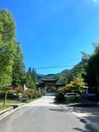 安吉竹林秘境指南