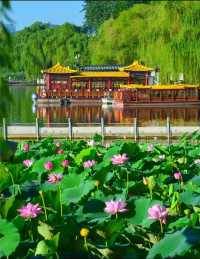 濟南三日遊：探索泉城魅力，暢享歷史人文之旅​
濟南，這座充滿魅力的城市，素有「泉城」的美譽。趵突